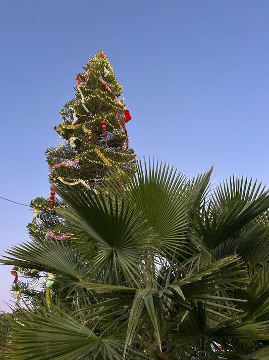 Frohe Weihnachten und ein gutes neues Jahr 2025